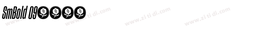 SmBold 09字体转换